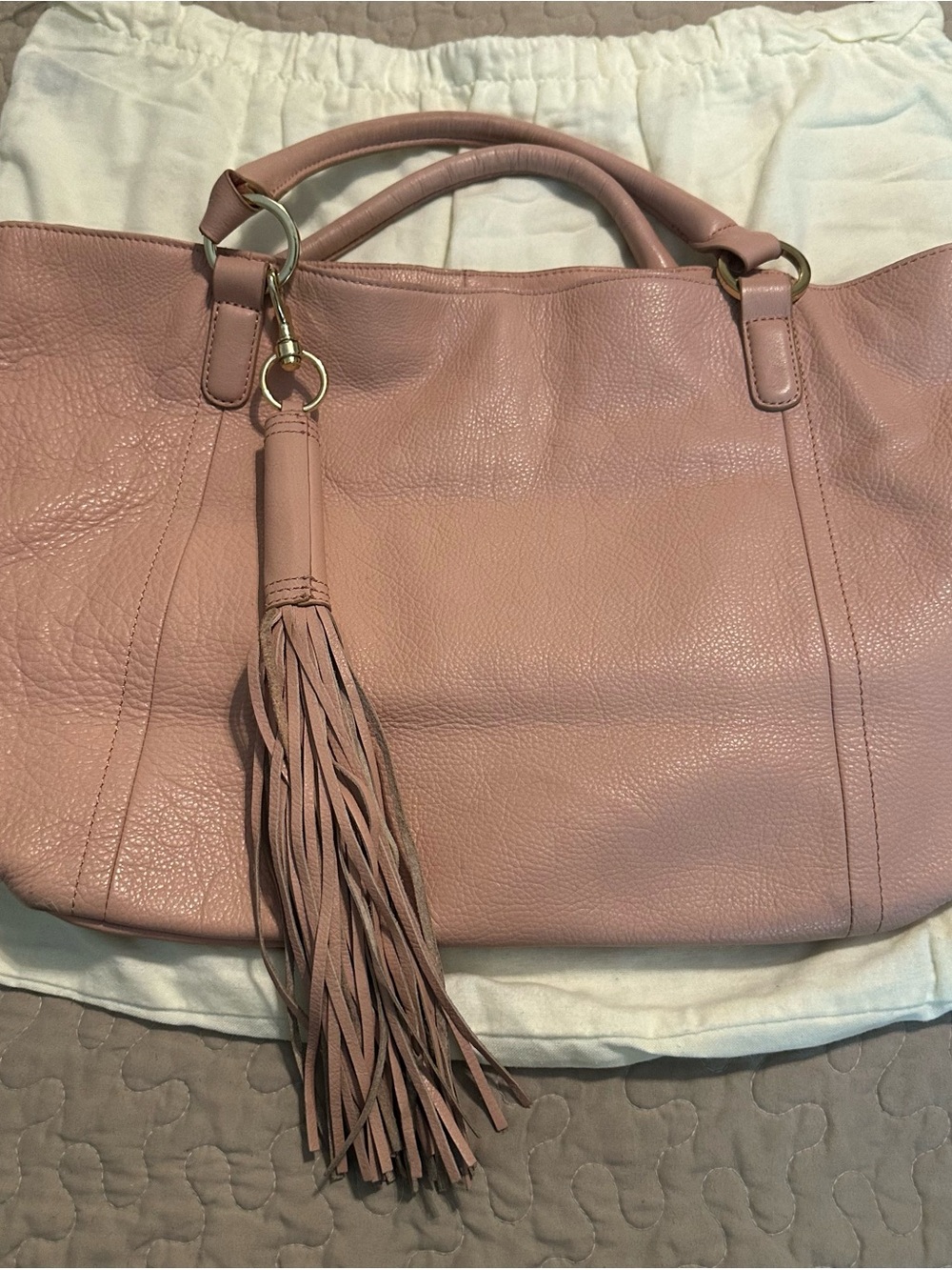 G.I.L.I. Blush Pink Leather Tote with Tassel Accent
